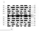 Fig. 01 - Multi-layer printed circuit boards with dimensional stability