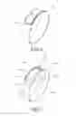 Fig. 06 - Body-wearable electronic device