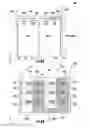 Fig. 07 - Multiple-backplane implementations for modular platforms