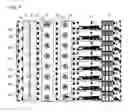 Fig. 05 - Modular scalable liquid cooled power system