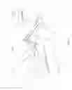 Fig. 08 - Standing shovel