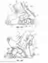 Fig. 19 - Row unit for a seeding machine with dual seed meters