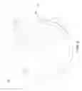 Fig. 02 - WATER CATCHING AND DRAINING SAUCER AND COMPLEMENTARY CATCH BASIN