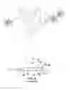 Fig. 06 - Expandable tree protection device