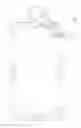 Fig. 07 - Dog Shower