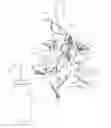 Fig. 01 - Hummingbird feeder and feed pod