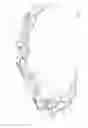 Fig. 02 - ASSISTIVE APPARATUS FOR HANGING A TREE STAND