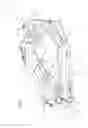 Fig. 06 - ASSISTIVE APPARATUS FOR HANGING A TREE STAND