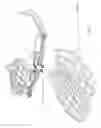 Fig. 10 - ASSISTIVE APPARATUS FOR HANGING A TREE STAND