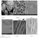 Fig. 02 - Antimicrobial and Antiviral Polymeric Materials