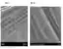 Fig. 03 - Antimicrobial and Antiviral Polymeric Materials