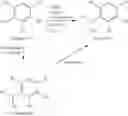 Fig. 26 - Herbicidally active 2-(substituted-phenyl)-cyclopentane-1,3-dione compounds and derivatives thereof