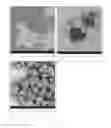 Fig. 03 - Antibacterial micro- and nanoparticles comprising a chlorhexidine salt, method of production and uses thereof