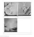 Fig. 07 - Antibacterial micro- and nanoparticles comprising a chlorhexidine salt, method of production and uses thereof