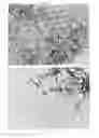 Fig. 18 - Antibacterial micro- and nanoparticles comprising a chlorhexidine salt, method of production and uses thereof