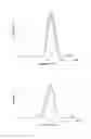 Fig. 19 - Antibacterial micro- and nanoparticles comprising a chlorhexidine salt, method of production and uses thereof