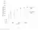 Fig. 22 - Antibacterial micro- and nanoparticles comprising a chlorhexidine salt, method of production and uses thereof