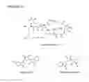 Fig. 03 - CHROMOBACTERIUM FORMULATIONS, COMPOSITIONS, METABLOITES AND THEIR USES