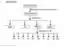 Fig. 09 - CHROMOBACTERIUM FORMULATIONS, COMPOSITIONS, METABLOITES AND THEIR USES