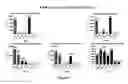 Fig. 10 - Barley with very low levels of hordeins