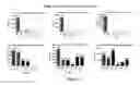 Fig. 11 - Barley with very low levels of hordeins
