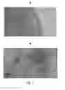 Fig. 02 - Compositions comprising fermented seaweed and/or algae