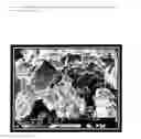 Fig. 10 - Use of resistant starches in coating compositions