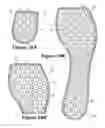Fig. 31 - Method of manufacturing a contoured fluid-filled chamber with a tensile member