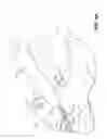Fig. 10 - Easy access articles of footwear