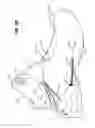 Fig. 11 - Easy access articles of footwear