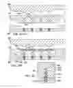 Fig. 04 - Spike for footwear having rigid portion and resilient portion