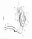 Fig. 05 - CHAIR WITH SEAT AND BACKREST MOVABLE IN A SYNCHRONIZED WAY