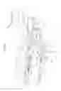 Fig. 11 - CHAIR WITH SEAT AND BACKREST MOVABLE IN A SYNCHRONIZED WAY