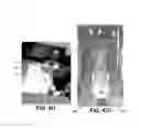 Fig. 18 - Modular check-in and baggage handling system and method