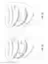 Fig. 05 - Fitted blanket