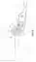 Fig. 09 - Pivoting device for a cooking equipment