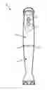 Fig. 01 - MOTOR UNIT, TOOL UNIT AND HAND BLENDER