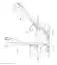 Fig. 38 - Surface cleaning apparatus