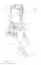Fig. 62 - Surface cleaning apparatus
