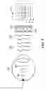 Fig. 06 - Apparatus and Method of Determining an Eye Prescription
