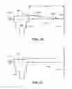 Fig. 16 - Apparatus and Method of Determining an Eye Prescription