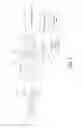 Fig. 02 - Ophthalmoscope