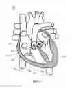 Fig. 22 - SYSTEM AND APPARATUS COMPRISING A MULTISENSOR GUIDEWIRE FOR USE IN INTERVENTIONAL CARDIOLOGY