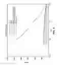 Fig. 07 - Multi frequency and multi polarity complex impedance measurements to assess ablation lesions