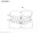 Fig. 02 - Three dimensional imaging of the motion of teeth and jaws