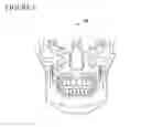 Fig. 07 - Three dimensional imaging of the motion of teeth and jaws