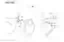 Fig. 08 - Three dimensional imaging of the motion of teeth and jaws