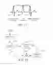 Fig. 12 - Methods and devices for accurately classifying cardiac activity