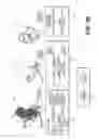 Fig. 25 - Method and system for image processing to determine patient-specific blood flow characteristics