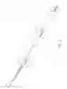 Fig. 05 - Blunted safety needle